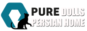 pure-dolls-persian-logo