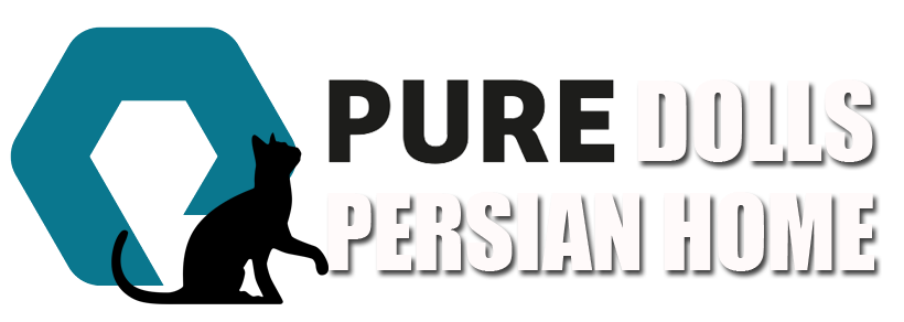 pure-dolls-persian-logo